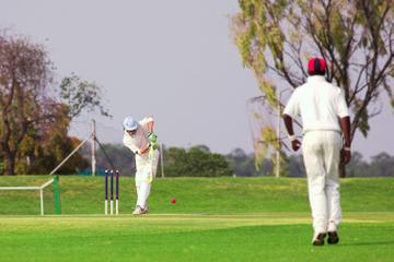 Antigua Cricket Legends and Stadiums Tour from St John's
