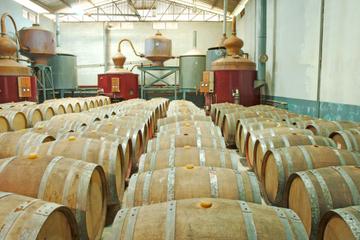 Appleton Estate Rum Tour from Negril