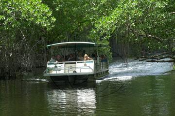 Appleton Rum Tour and Black River Safari Tour from Montego Bay and Grand Palladium