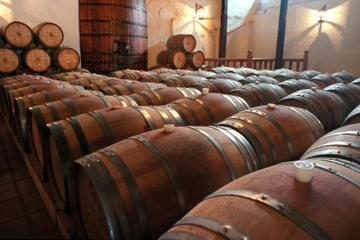 Aquitania and Concha y Toro Wineries Full-Day Tour