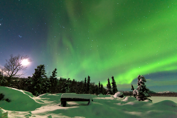 Arctic Circle and Northern Lights Tour from Fairbanks