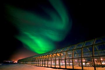 Arktikum Museum Guided tour in Rovaniemi