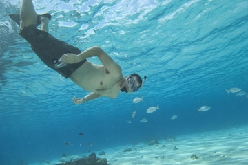 Aruba Snorkel Cruise to SS Antilla with Lunch