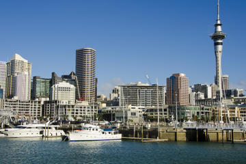 Auckland City Highlights Tour