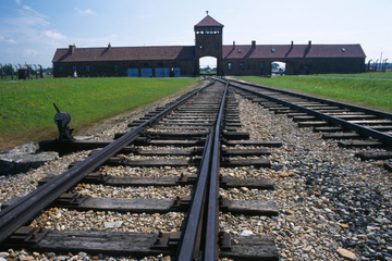 Auschwitz-Birkenau Museum and Memorial Guided Tour from Krakow