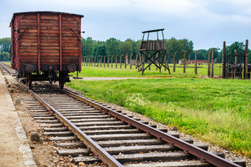 Auschwitz-Birkenau Museum Half-Day Bus Tour from Krakow