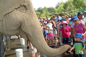 Australia Zoo by Croc Express Coach