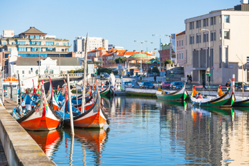Aveiro Tour from Porto Including Moliceiro Cruise