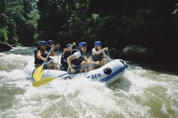 Bali Jungle White Water Rafting Adventure