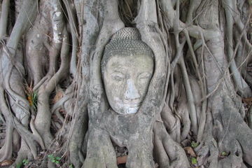 Bang Pa and Ayutthaya Historical Park Tour from Bangkok - Coach and Cruise with Italian Speaking Guide