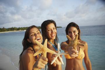 Barbados Beach Day with Boat Trip and Shipwreck Snorkel Adventure