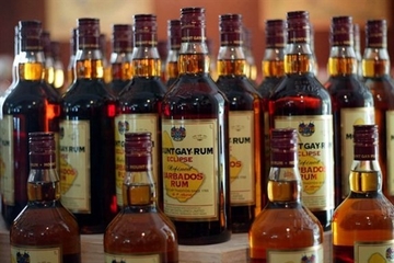 Barbados Combo Tour: Harrison's Cave and Mount Gay Rum Visitor's Centre