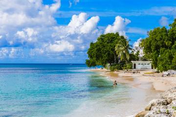 Barbados Island and Beach Tour