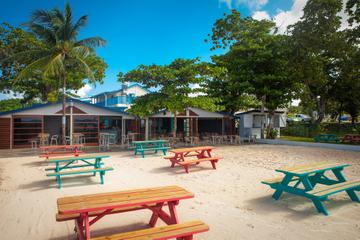 Barbados Mount Gay Rum Tour and Carlisle Bay Beach