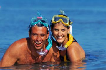 Barbados Shore Excursion: Barbados in a Day Tour