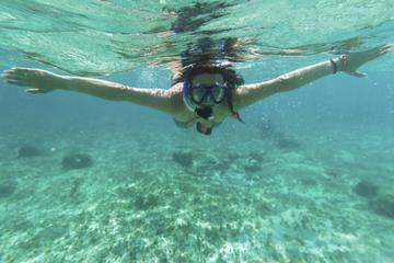 Barbados Snorkel Adventure in Carlisle Bay