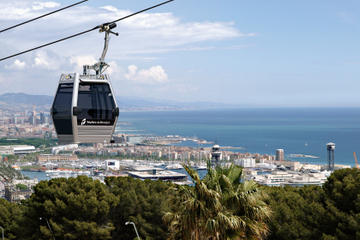 Barcelona Morning Sightseeing Tour