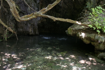 Baths of Aphrodite Day Trip from Paphos Including Ayia Paraskevi and Ayios Neofyrtos Monastery