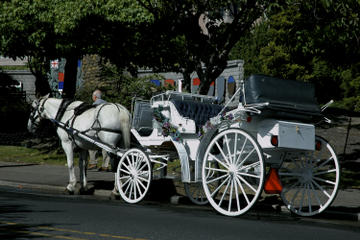 Beacon Hill Park Carriage Tour