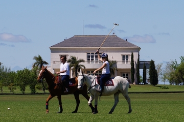 Become a Polo Player: Day Trip to Puesto Viejo Estancia