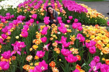 Behind-the-Scenes Keukenhof Gardens Day Trip from Amsterdam Including Picnic Lunch and Haarlem Walking Tour