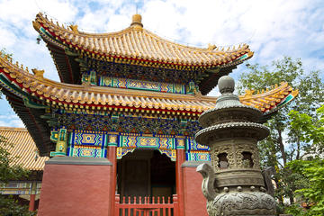 Beijing City Coach Tour: Hutongs, Beijing Zoo and Lama Temple