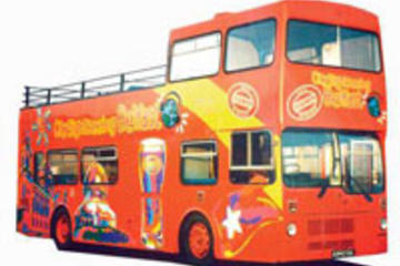 Belfast Shore Excursion: Hop-On Hop-Off Tour