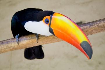 Berlin Zoo and City Hop-On Hop-Off Sightseeing Tour