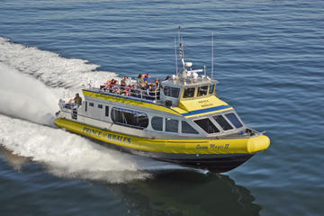 Best of Victoria Tour: Whale Watching, Butchart Gardens and Sunset Cruise from Vancouver