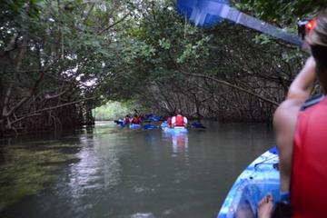 Bioluminescent Bay Glass Bottom Kayak Adventure from San Juan
