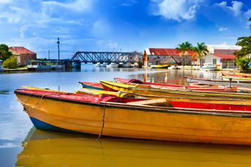 Black River Cruise and Mineral Springs Tour from Negril