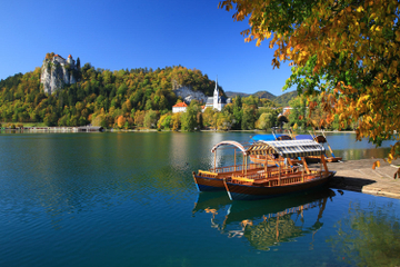Bled and Postojna in a day