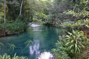 Blue Hole and River Gully Rain Forest Adventure Tour from Montego Bay
