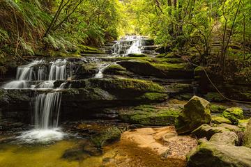 Blue Mountains Sightseeing Photography Tour