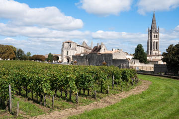 Bordeaux Super Saver: Small-Group Wine Tasting and Lunch plus St-Emilion Wine Tour