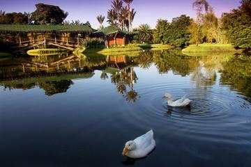 Botanical Garden José Celestino Mutis of Bogotá Botanical Garden José Celestino Mutis of Bogotá