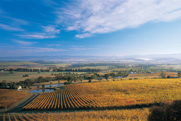Boutique Yarra Valley Winery Day Trip from Melbourne