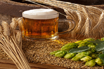 Brewery Experience