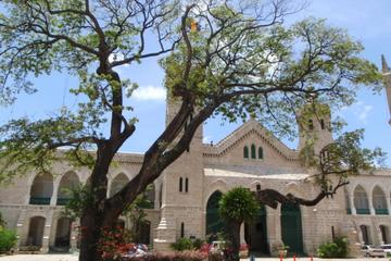 Bridgetown Walking Tour in Barbados