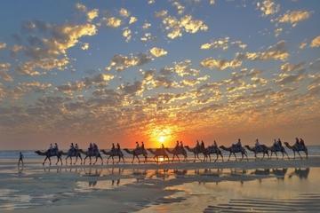 Broome City Sightseeing Tour with Optional Camel Ride