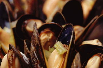 Brussels Night Walking Tour: Gourmet Belgian Food