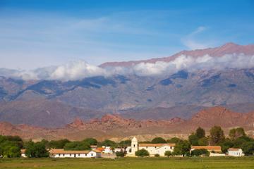 Calchaquí Valley Scenic Drive and Day Trip to Cachi from Salta