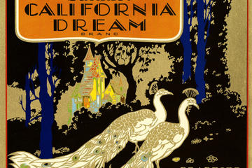 California Culture History and Architecture Tour