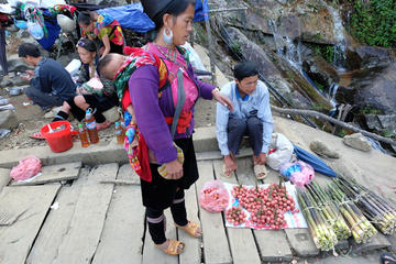 Cao Son Market and Local Hilltribe Village Day Trip from Sapa