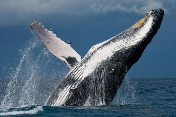 Cape Cod and Boston 4-Day Fall Tour