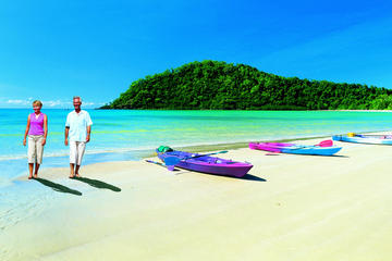 Cape Tribulation, Daintree Rainforest and Wildlife Tour