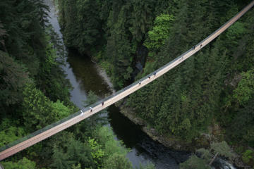 Capilano Suspension Bridge Including the Treetops Adventure and Cliffwalk