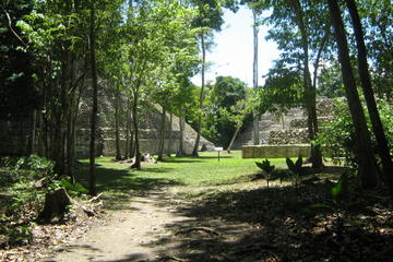 Caracol Maya Temple Caracol Maya Temple