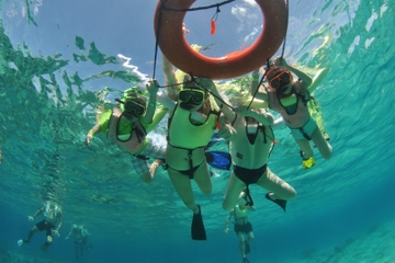 Caribbean Snorkel Tour in Grand Turk's Coral Reef