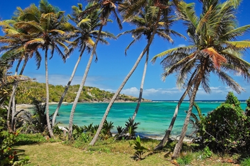 Carriacou Island Day Trip from Grenada